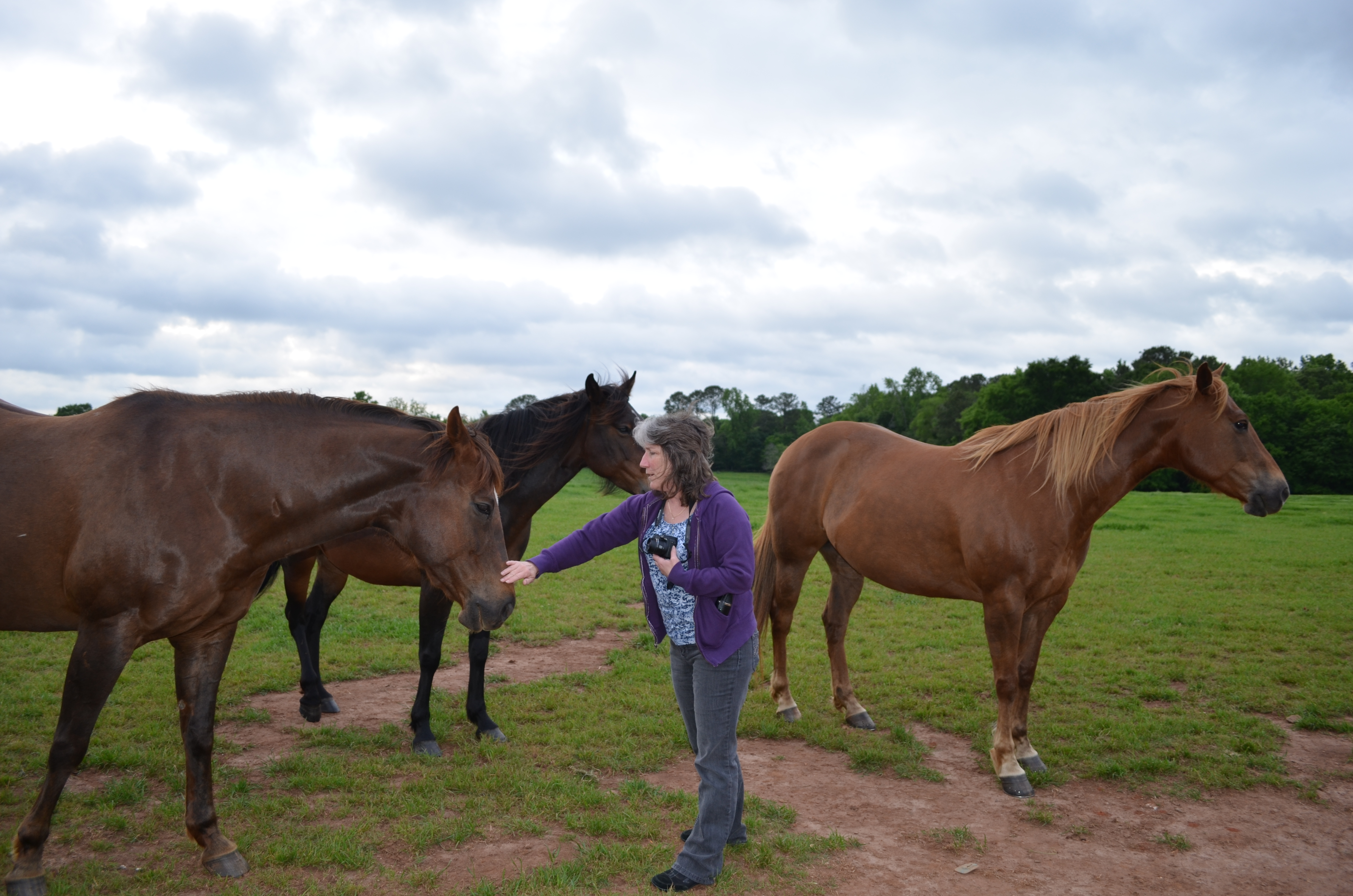 ./2013/Southern Cross Ranch/DSC_2276.JPG